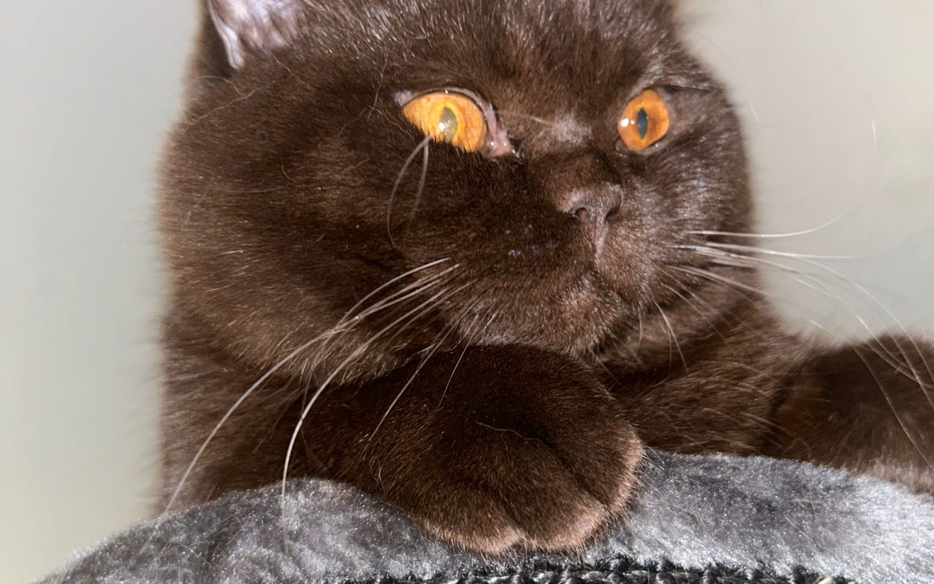 WhatsApp-Image-2025-03-03-at-16.47.36-1