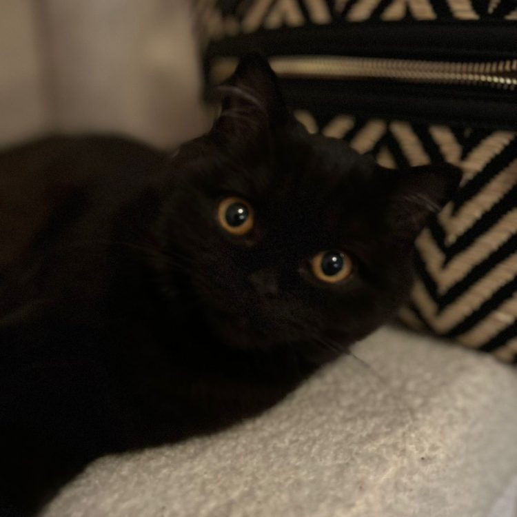 WhatsApp Image 2025-05-08 at 20.03.54 (1)