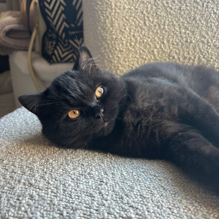 WhatsApp Image 2025-05-08 at 20.03.55 (1)