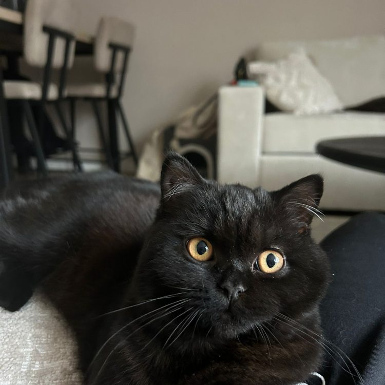 WhatsApp Image 2025-05-08 at 20.03.55 (3)