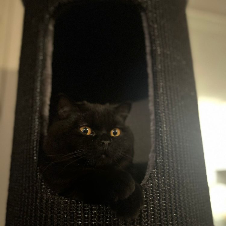 WhatsApp Image 2025-05-08 at 20.03.55 (7)