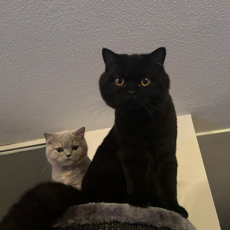 WhatsApp Image 2025-05-08 at 20.03.55 (8)