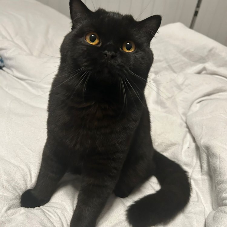 WhatsApp Image 2025-05-08 at 20.03.55 (9)