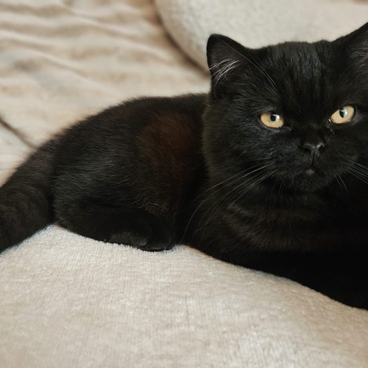 WhatsApp Image 2025-05-08 at 20.03.55