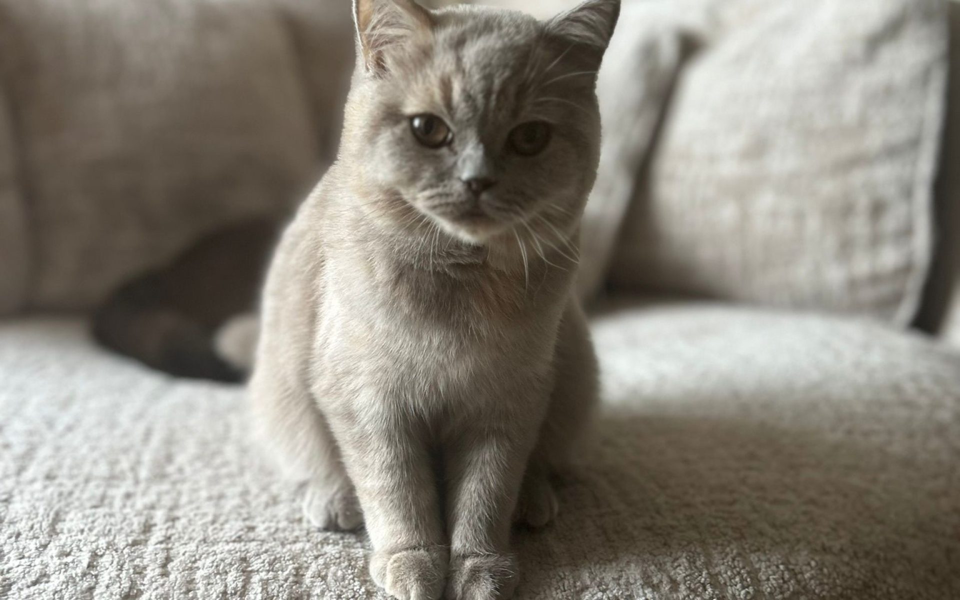 WhatsApp Image 2025-05-08 at 20.09.53 (4)