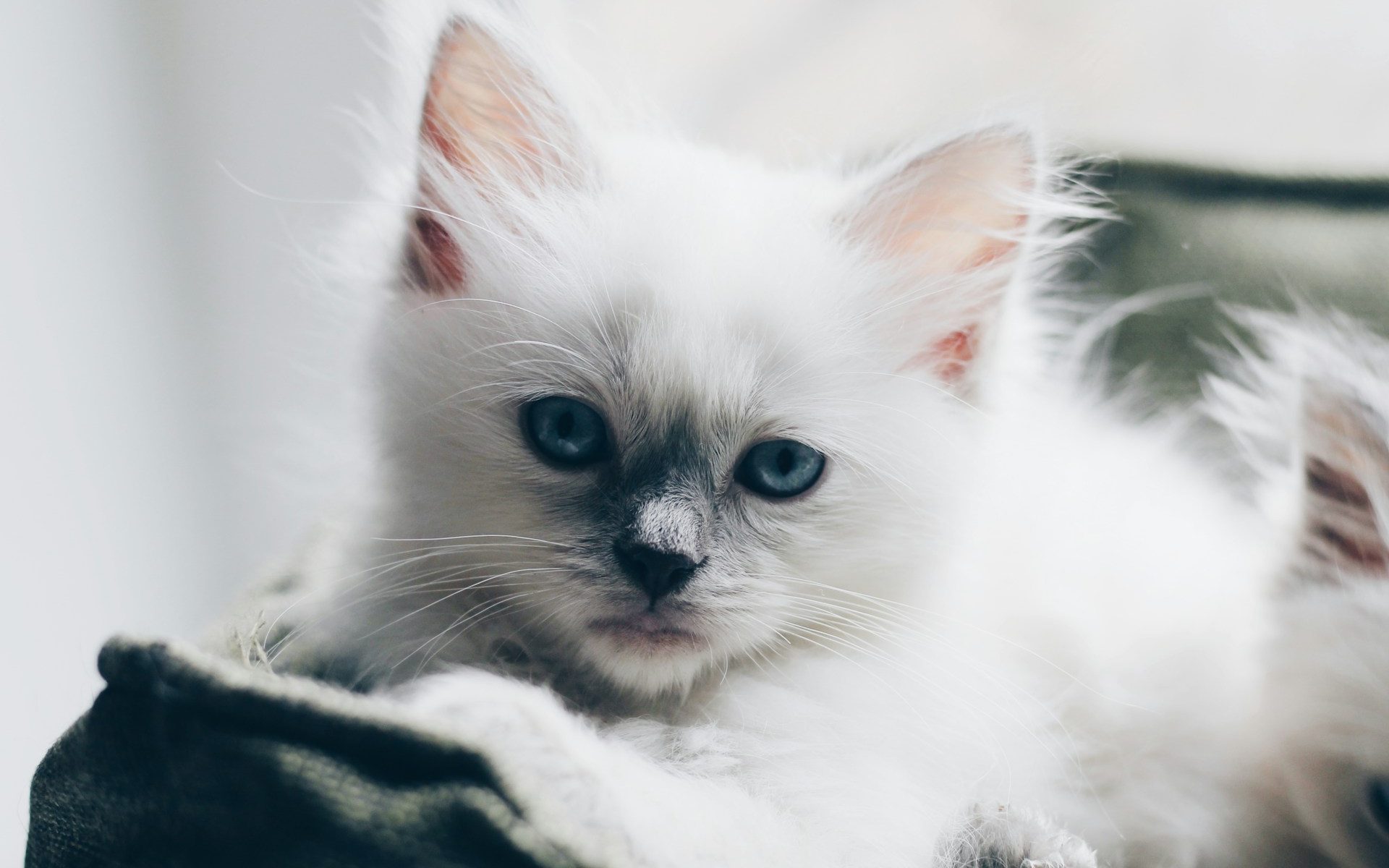 erik-jan-leusink-PbJ_cz3t7js-unsplash erik-jan-leusink-PbJ_cz3t7js-unsplash
