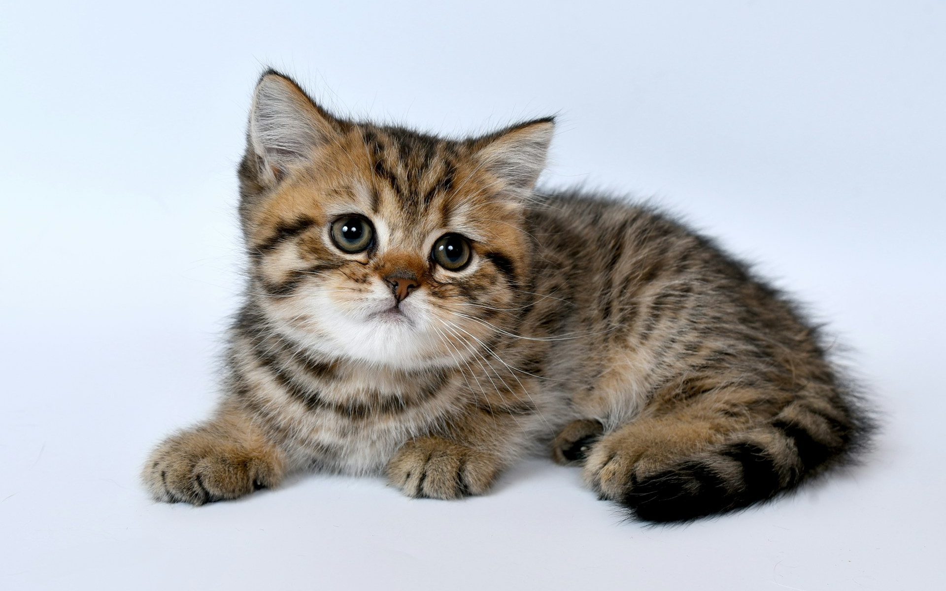 sergey-semin-ff6MD1lIMaQ-unsplash sergey-semin-ff6MD1lIMaQ-unsplash